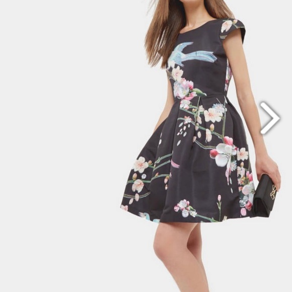 Ted Baker Dresses & Skirts - NWOT Ted Baker Zaldana Flight of the Orient Dress